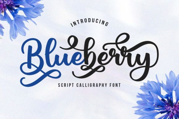 Blueberry Script: A Handwritten Touch in a Digital World