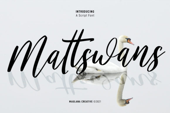 Mattswans Script: A Versatile Tool for Creative Designers
