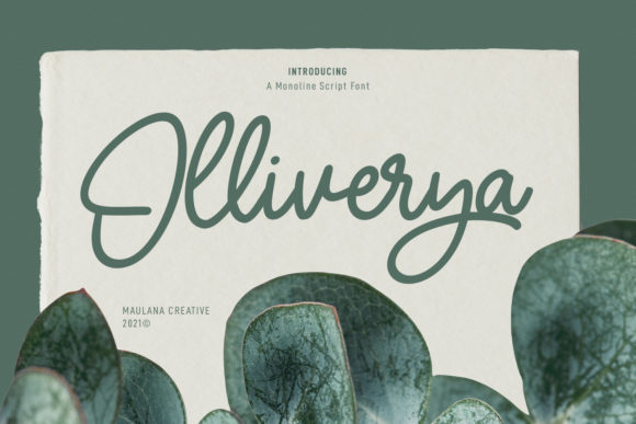 Olliverya Script: The Elegant Font That Elevates Your Creativity