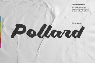 Pollard Script: A Bold and Contemporary Font for Modern Creativity